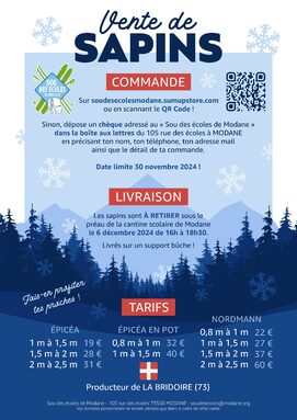 SDE AFFICHE SAPINS 2024-min.jpg